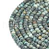 Natural African Turquoise(Jasper) Beads Strands G-P575-A20-6x4mm-3