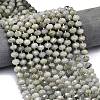 Natural Labradorite Beads Strands G-P573-A55-01-1