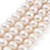 Natural Cultured Freshwater Pearl Beads Strands PEAR-C003-18D-2