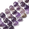 Natural Amethyst Beads Strands G-P570-E17-01-2