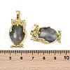 Natural Labradorite Pendant KK-F887-02G-09-3