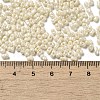 Glass Seed Beads SEED-K009-02A-08-4