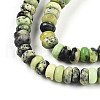 Natural Serpentine Beads Strands G-T140-76-3