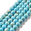 Synthetic Turquoise and Sea Shell Assembled Beads Strands G-D482-01C-07-2