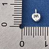 925 Sterling Silver Cubic Zirconia Charms STER-Q005-01A-A-3