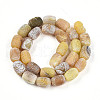 Natural Weathered Agate Beads Strands G-N344-42A-3