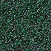 MIYUKI Round Rocailles Beads SEED-JP0008-RR4507-2