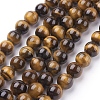 Natural Tiger Eye Beads Strands X-G-G099-10mm-5-1