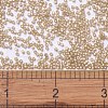 MIYUKI Delica Beads SEED-X0054-DB2177-4