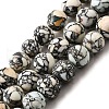 Synthetic Turquoise Beads Strands G-F791-D01-01B-2
