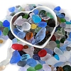Ocean Series Glass Display Decoration PW-WG80762-01-2