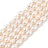 Natural Cultured Freshwater Pearl Beads Strands PEAR-I007-01B-05B-2