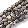 Natural Map Stone Beads Strands G-G146-A11-01-1