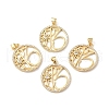 Rack Plating Brass Micro Pave Cubic Zirconia Pendants KK-F852-11G-3