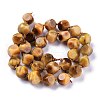 Natural Tiger Eye Beads Strands G-A030-B01-02-12mm-2