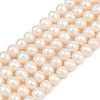 Natural Cultured Freshwater Pearl Beads Strands PEAR-I007-07J-06B-2