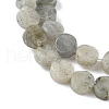 Natural Labradorite Beads Strands G-M454-B07-3
