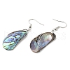 Natural Paua Shell Bean Dangle Earrings with Brass Earring Pins EJEW-E289-02P-2