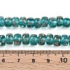 Luminous Handmade Gold Foil Glass Beads Strands FOIL-N029-02A-05-5