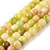Natural Dyed White Jade Beads Strands G-U023-B03-03-2