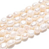 Natural Cultured Freshwater Pearl Beads Strands PEAR-N014-04K-2