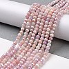 Faceted Electroplated Glass Beads Strands X-GLAA-C023-02-C19-3
