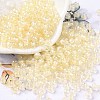 6/0 Glass Seed Beads SEED-T006-04F-05-1