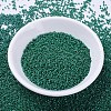 MIYUKI Delica Beads SEED-X0054-DB0656-2
