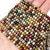 Natural Alashan Agate Beads Strands G-C127-B01-01-2
