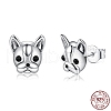Rhodium Plated 925 Sterling Silver Stud Earrings STER-BB72117-1