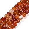 Natural Carnelian Beads Strands G-L595-B01-01-1