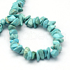 Synthetic Green Turquoise Stone Bead Strands G-R192-B23-1-2