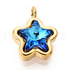 304 Stainless Steel Charms STAS-N112-02B-G-1