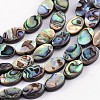 Natural Abalone Shell/Paua Shell Beads Strands SSHEL-G003-8-8x12mm-1