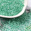 Transparent Glass Round Seed Beads X1-SEED-B001-05A-11-1