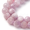 Natural Kunzite Beads Strands G-H313-01B-8mm-4