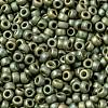MIYUKI Round Rocailles Beads X-SEED-G008-RR2033-3
