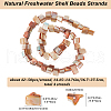 Beebeecraft 4 Strands Dyed Natural Freshwater Shell Beads Strands SHEL-BBC0001-14A-2