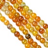 Dyed Natural Dragon Veins Agate Beads Strands G-C068-6mm-15-3