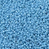 MIYUKI Delica Beads X-SEED-J020-DB0218-3
