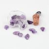 Heart Glass Bottle with Amethyst inside Pendants PALLOY-JF00172-04-2