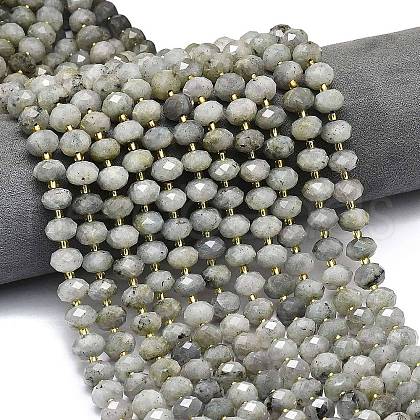 Natural Labradorite Beads Strands G-P573-A55-01-1