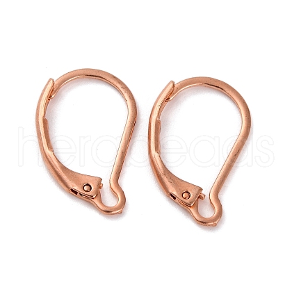 304 Stainless Steel Leverback Earring Findings STAS-K233-04RG-1