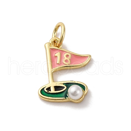 Brass Enamel Charms KK-Q098-37G-A-1