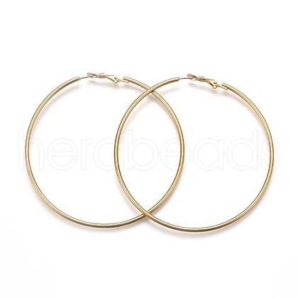 201 Stainless Steel Hoop Earrings EJEW-F188-24G-E-1