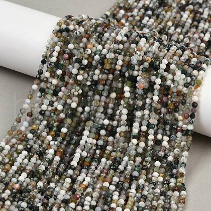 Natural Moss Agate Beads Strands G-RM2025-A33-3mm-1