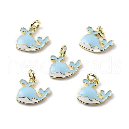 Brass Enamel Charms KK-Z114-17G-01-1