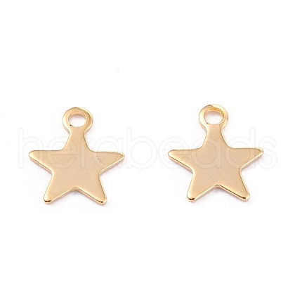 201 Stainless Steel Charms STAS-B001-14A-G-1
