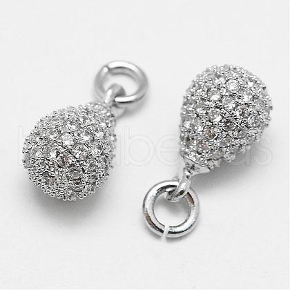 Brass Micro Pave Cubic Zirconia Charms ZIRC-F036-02P-NR-1