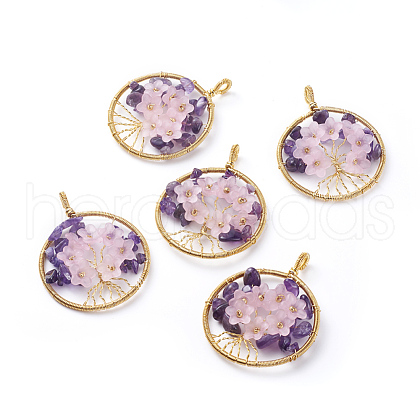 Natural Amethyst Pendants G-G807-E05-1